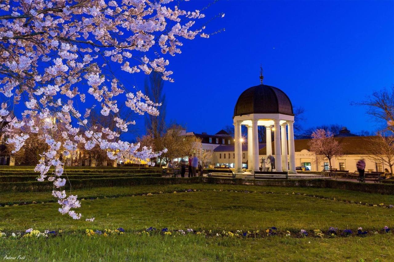 Capri Apartman Eger Zewnętrze zdjęcie
