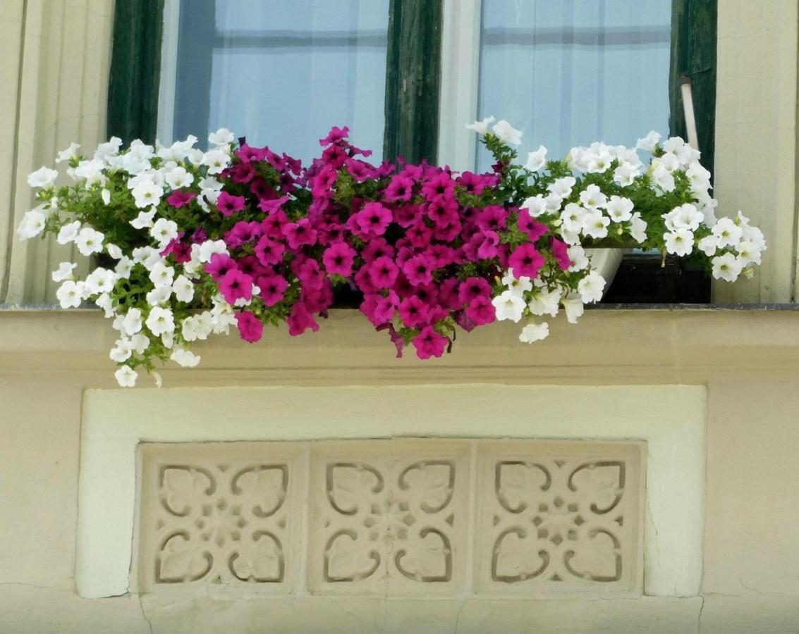 Capri Apartman Eger Zewnętrze zdjęcie